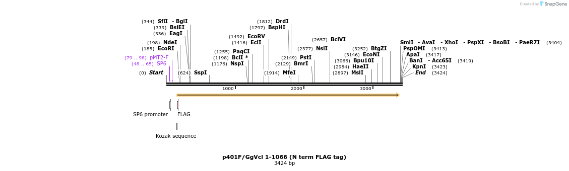 65206_map