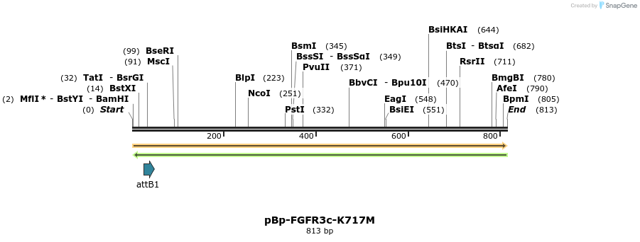 65218_map
