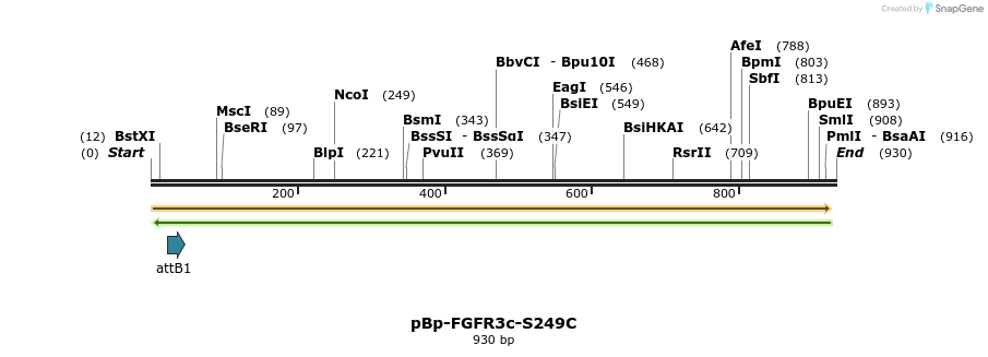 65222_map