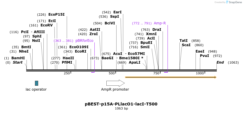 65249_map