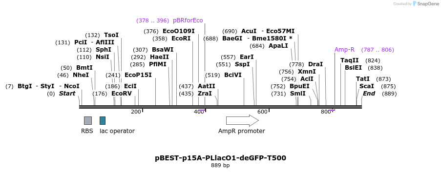 65250_map