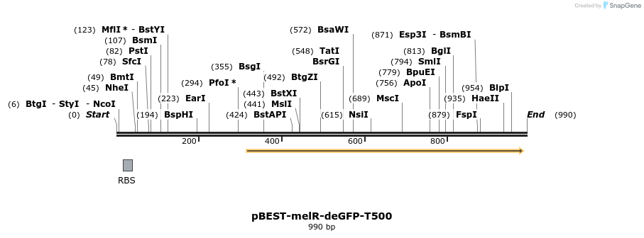 65251_map