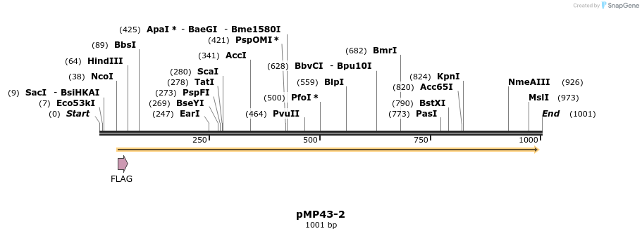 65253_map