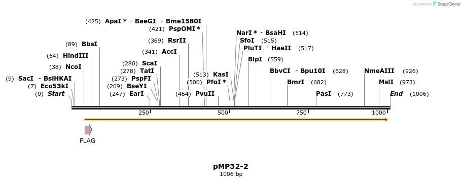 65254_map