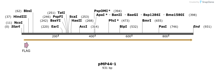 65255_map