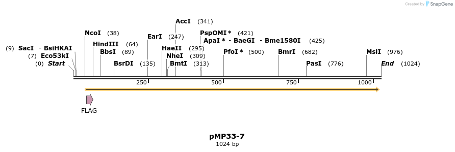 65256_map