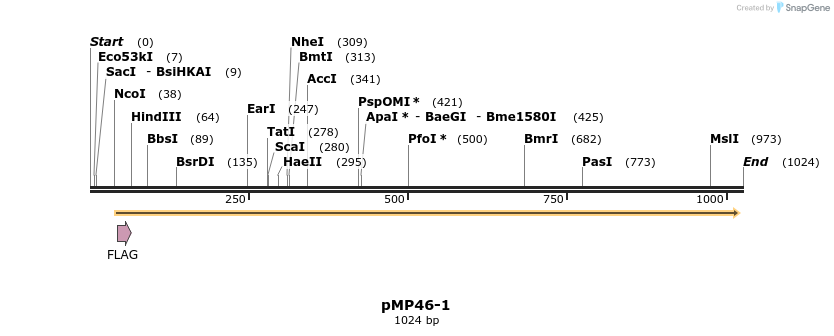 65257_map