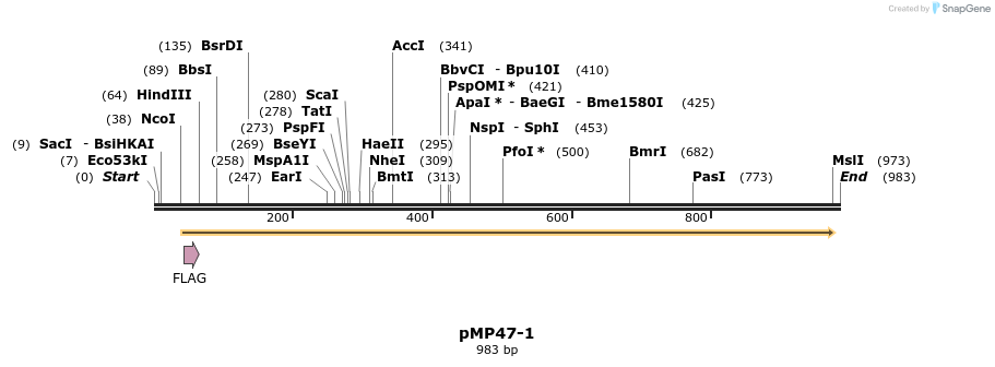 65258_map