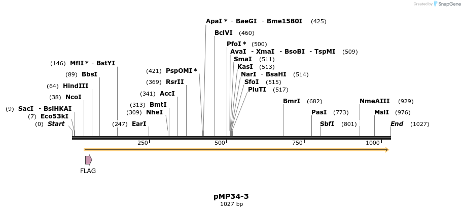65259_map