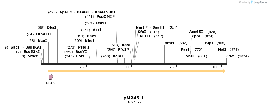 65263_map
