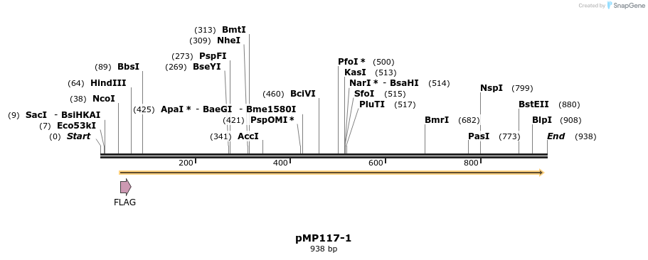 65264_map