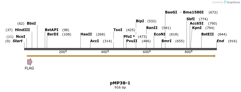 65267_map