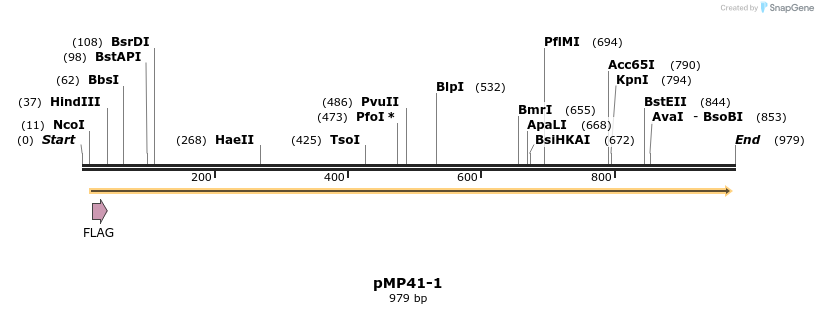 65269_map
