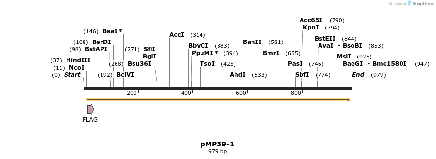 65270_map