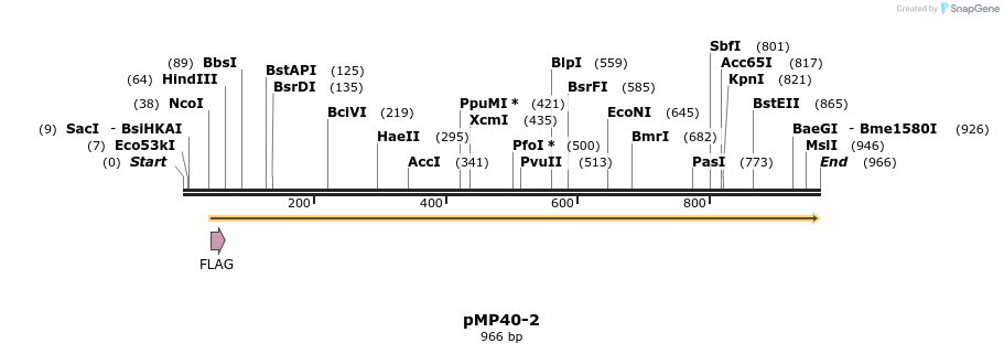 65271_map