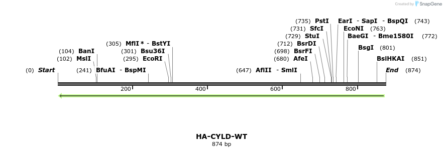 65282_map