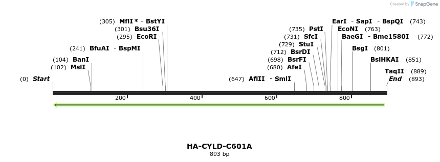 65283_map