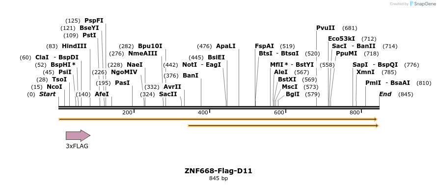 65286_map