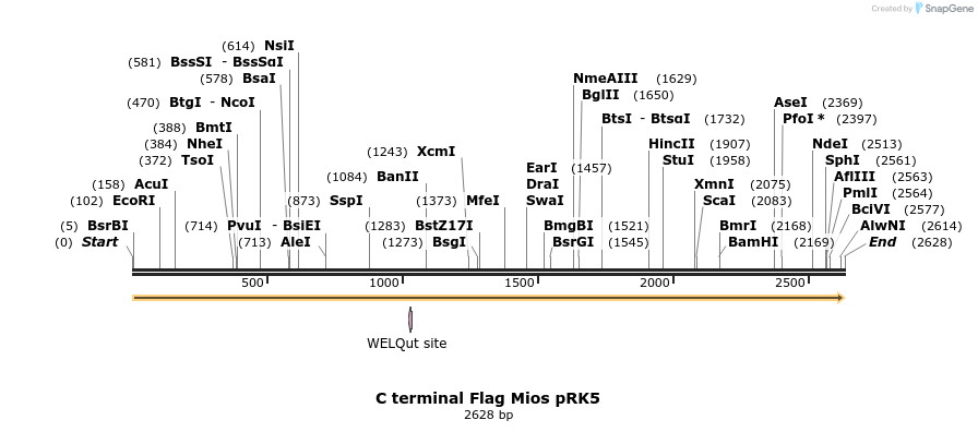 65297_map