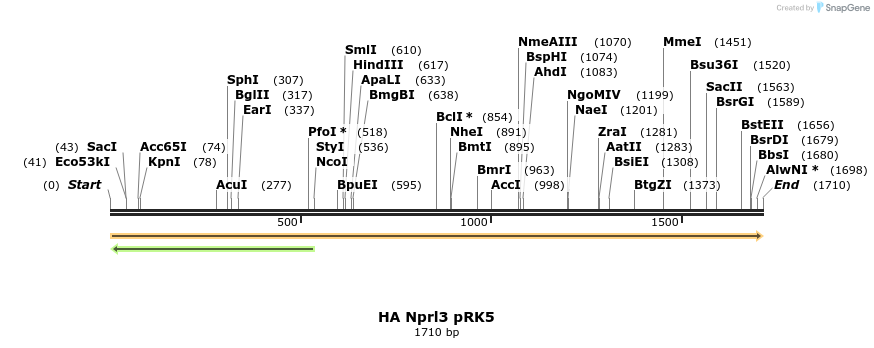 65301_map