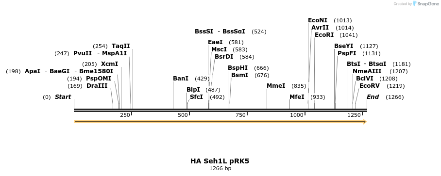 65302_map