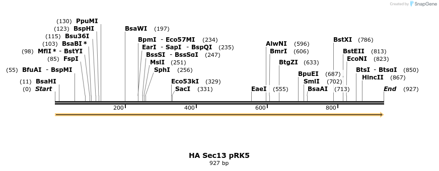 65303_map
