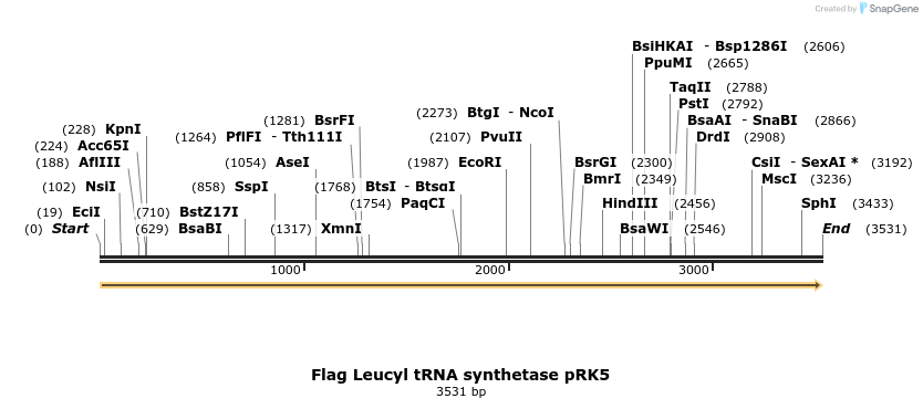 65308_map