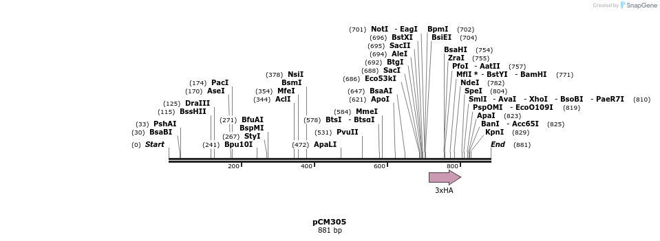65312_map