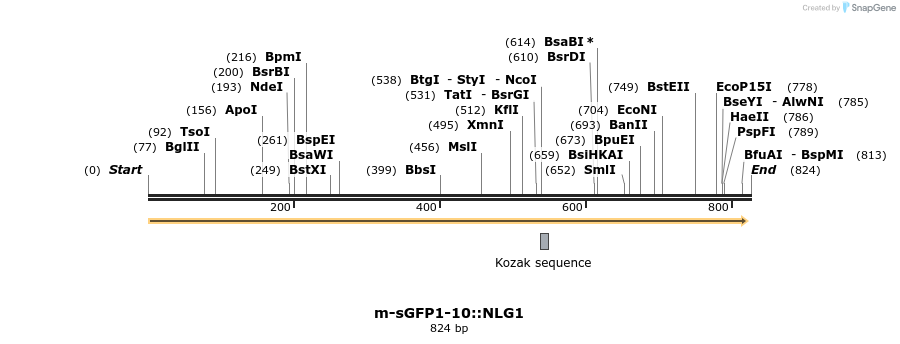 65313_map