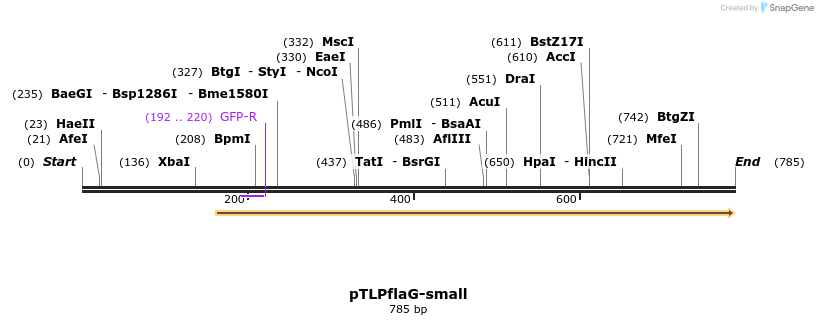 65314_map