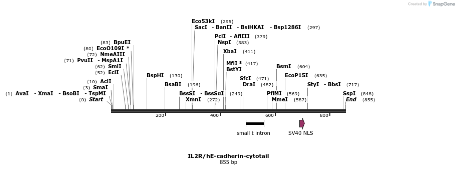65317_map