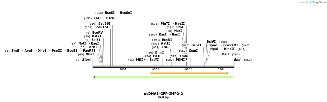 65320_map