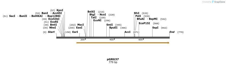 65323_map