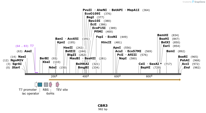 65337_map