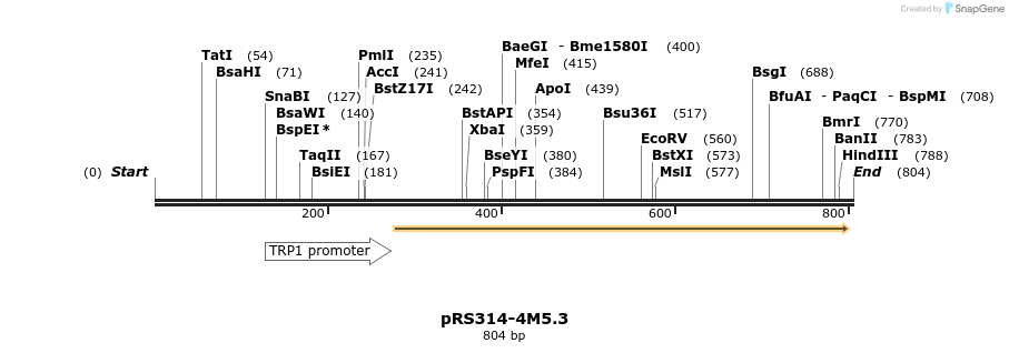 65339_map