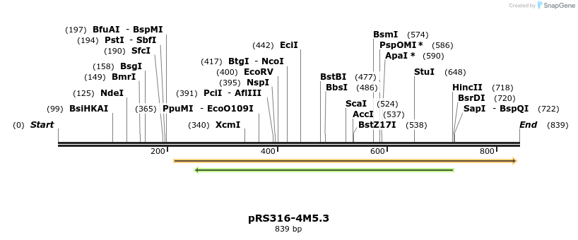 65340_map