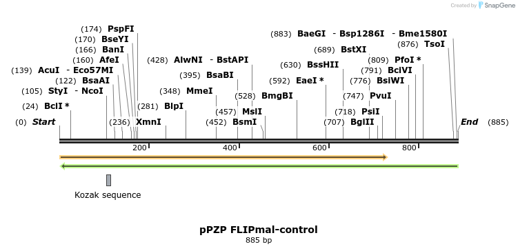 65341_map