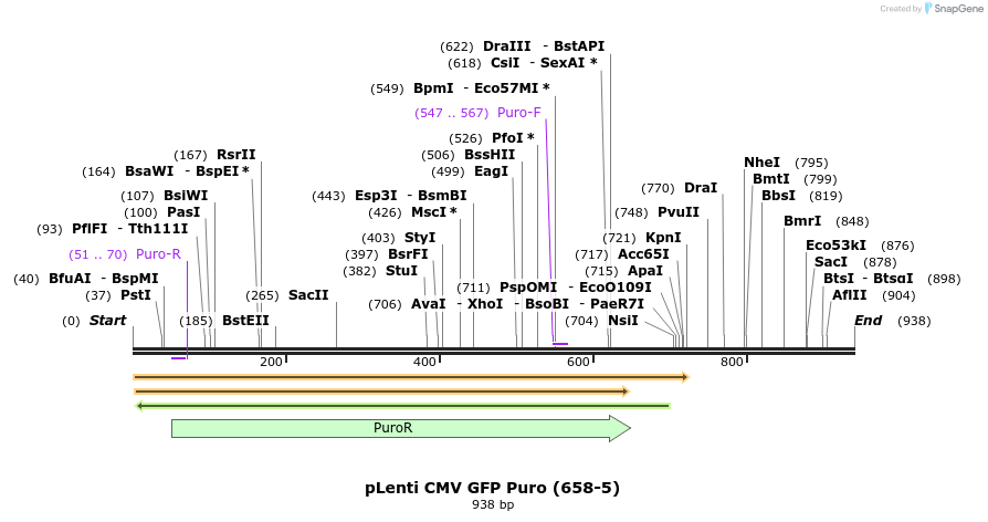 65345_map
