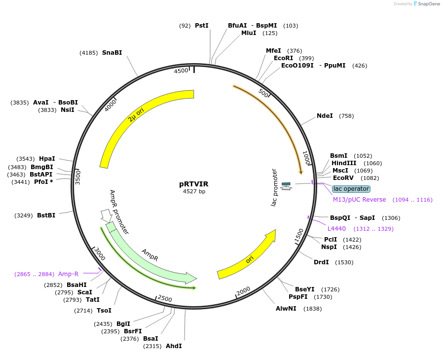 65351_map