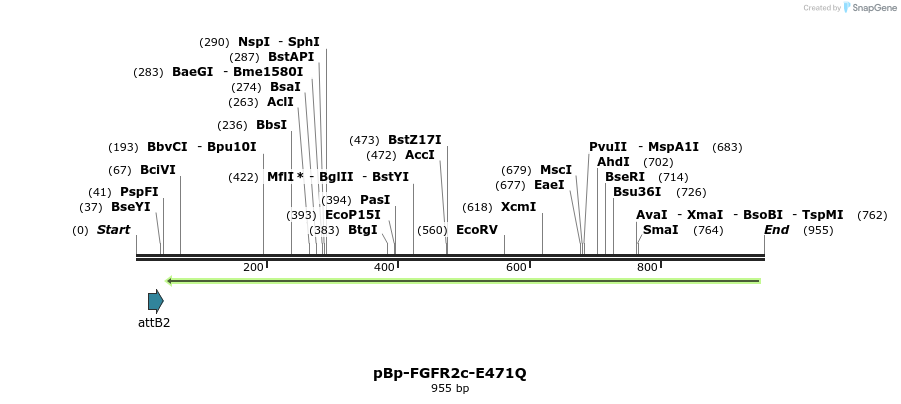 65364_map
