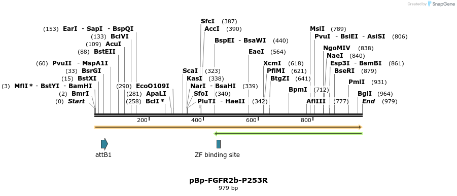 65366_map