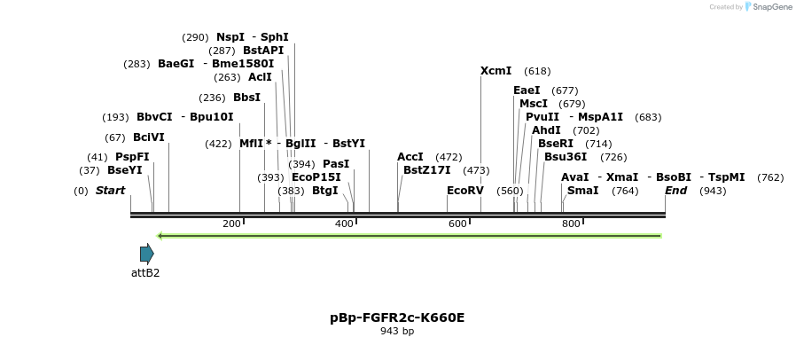 65370_map