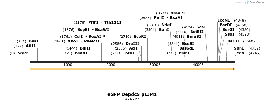 65392_map