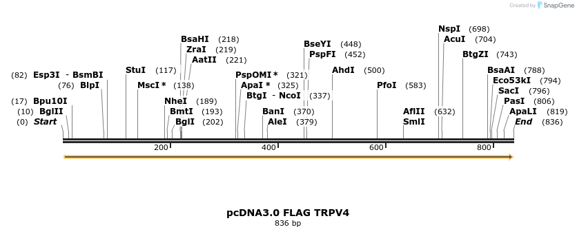 65394_map