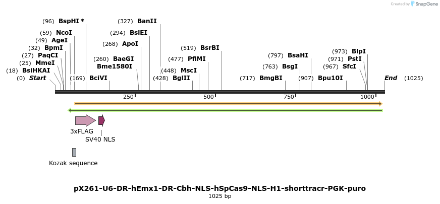 65403_map
