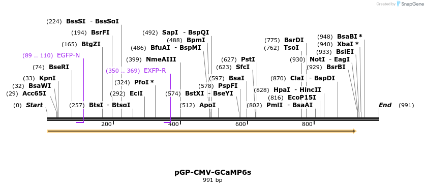 65412_map