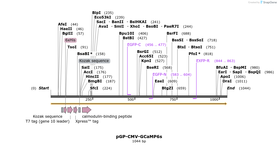 65417_map