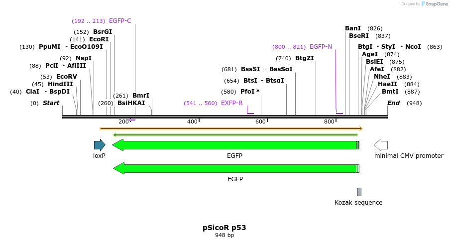 65420_map