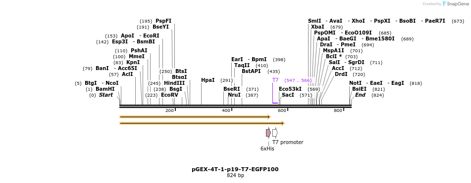65426_map