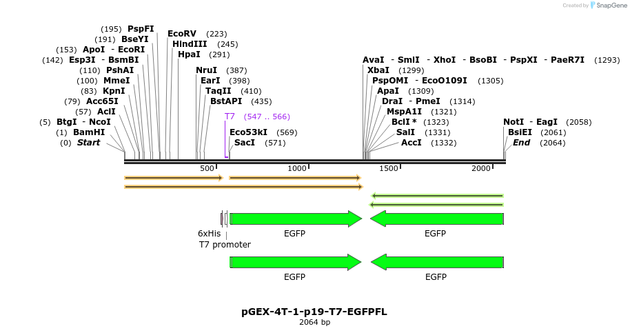 65427_map